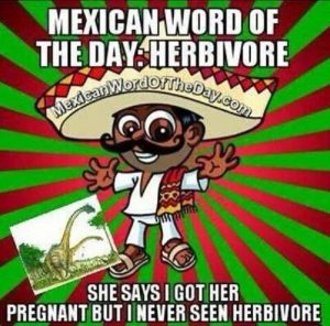 The Mexican Word of the Day Memes